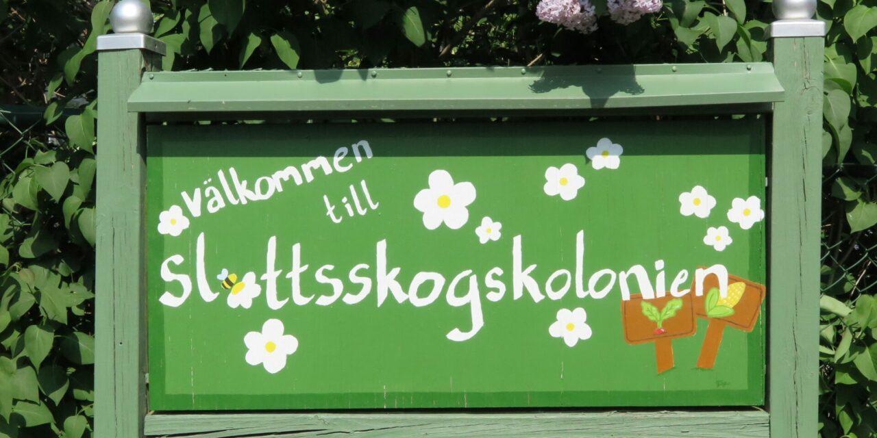 Räkfest hos rtpk Göteborg