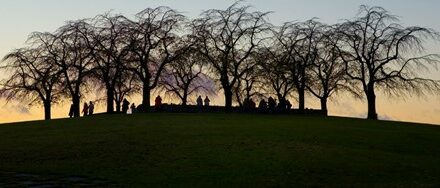 Världsarvet Skogskyrkogården 16 november