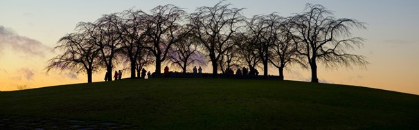 Världsarvet Skogskyrkogården 16 november