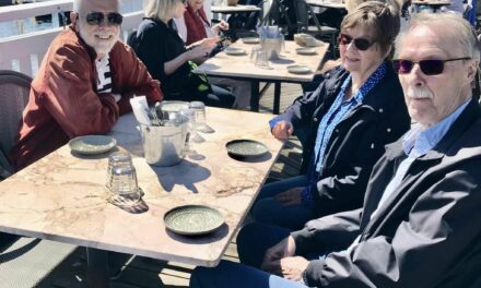 Båtutflykt till Storholmen med lunch och guidning